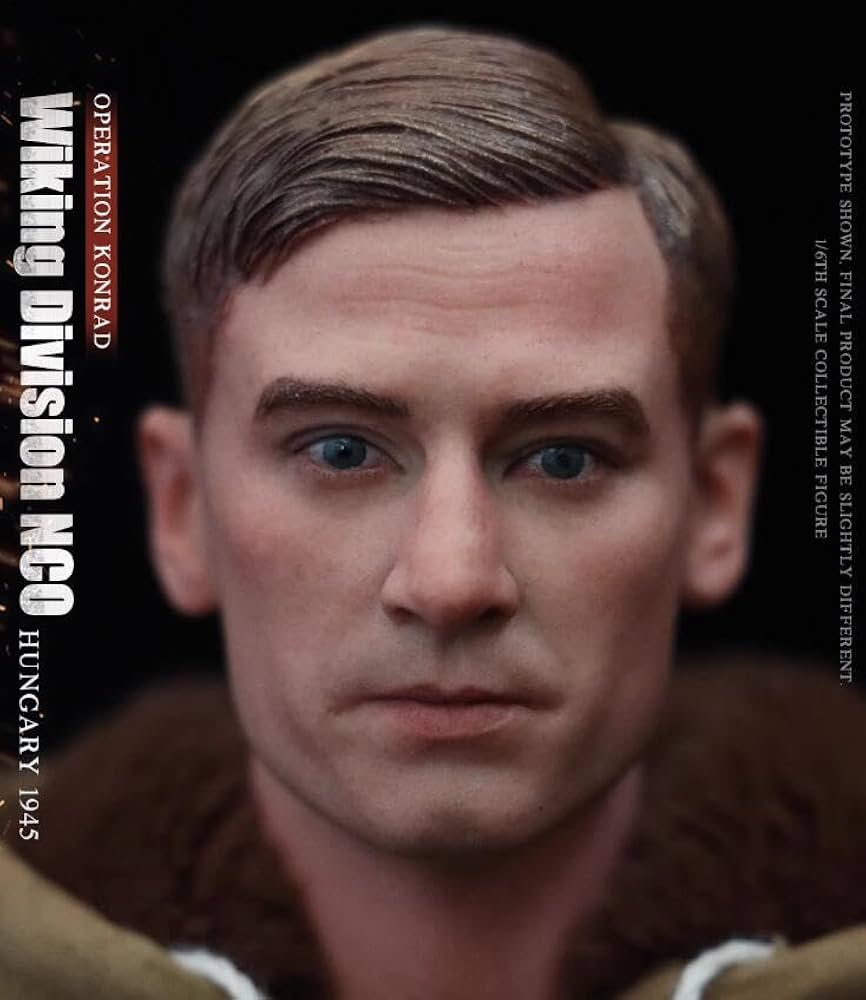 Amazon | [AC]UJINDOU 1/6 男性 ミリタリー Division Wiking